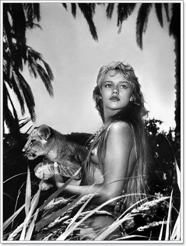 F9493D66D3964FEF86D7461BA17B42C4-500