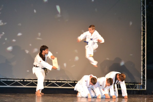 ... demostraciones de artes marciales...