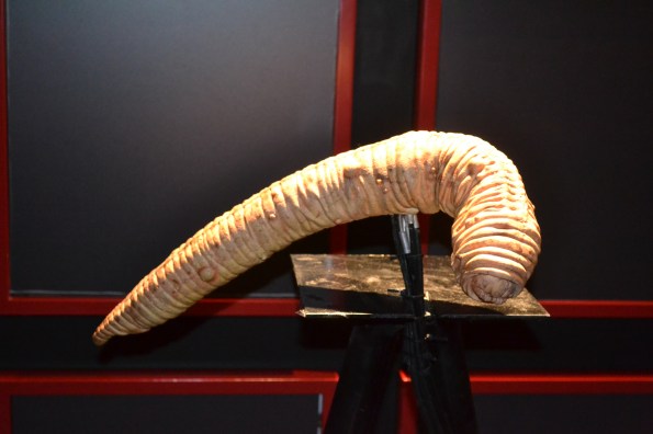 ... y el polémico gusanaco-parásito...