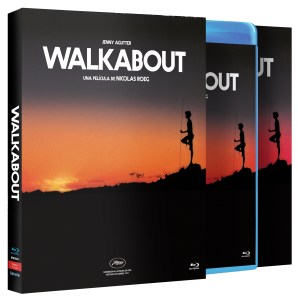 montaje_caja_walkabout